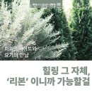 리본스튜디오 파워플레이트 & 무브랩 이미지
