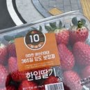 비오비피씨방 이미지