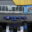 [진주 초전동] 초전동회포장 맛집, 생선구이 포장맛집 생생어물시장 후기