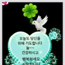 샬롬 이미지