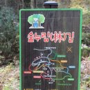 국립장성숲체원