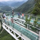 스카이워크(아리힐스) 이미지