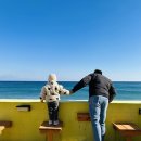 시포트리조트 | 국내여행추천)🌊영덕 ‘시포트 리조트’ 숙박 후기 바다 뷰가 예술이네!