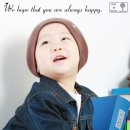 진서트리 Daum카페