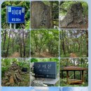 낭비성娘臂城 | 230. 한국 500대명산 204. 구녀산(九女山)...​