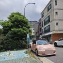 드림미술교습소 - 동구 동대전로46번길 29 | 제주도 혼자여행기 4-5일차ㅣ에그타르트찐맛집ㅣ신상LP바ㅣ고등어회ㅣ숙소추천ㅣ여행코스ㅣ혼밥맛집ㅣ...