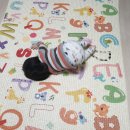 프리파크 이미지