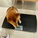 서울햇빛동물병원 이미지