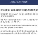 인터시네