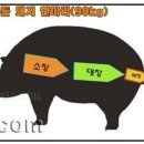 4900원돼지 이미지