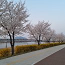 금강수변공원(보람동) 이미지