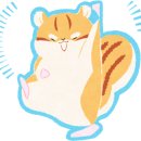 슬림앤미한의원 이미지