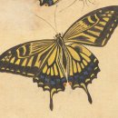 조선시대 그림그리기(민화) 이미지