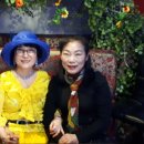 노래일번지 이미지