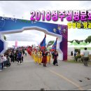 [2018성주생명문화축제]성밖숲의 아름다운 축제이야기를 즐기다 이미지