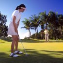 샹그릴라 이미지