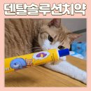 덴탈솔루션 | 고양이 페스룸 덴탈 솔루션 치약 내돈내산 사용후기