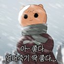청년떡볶이강릉