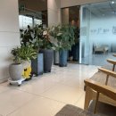 공단서울치과의원 이미지