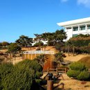 공원 Daum카페