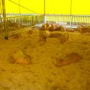 거부농장 이미지