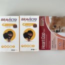 진달래약국 이미지