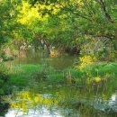 달뜨는목장 이미지