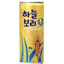 하늘보리 이미지