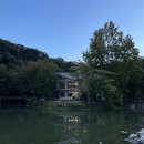 포레드노드 네이버블로그