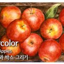 사과 박스 수채화, 사과그리기 수채화 / 수채화랑 이미지