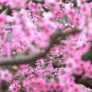 은경농장 이미지