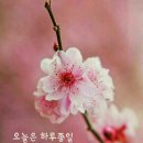 봄날 이미지