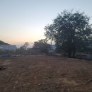 나비채 하우스 이미지