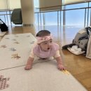 포인트마트하양 | '토리토리 오감노리' 롯데마트 부산점 문화센터 추천해요!!