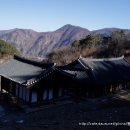 소일천 Daum카페
