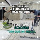 세탁전문점더에코 | 울산 카페트세탁 에코클린｜수거부터 살균까지 확실한 이유 ⭐