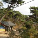 대한민국 통맥풍수 ⑩ | 풍수와 장법 이미지
