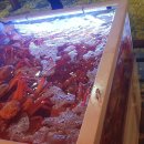 꿈모텔 입구 화장실 이미지