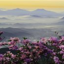 광양뉴스(주) 이미지