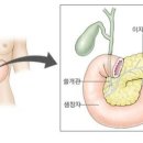 오혜숙 생활단식 남양주 천마지사