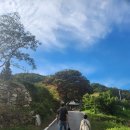 청련사 | 아이랑 가기 좋은 강화 당일치기 고즈막한 전통사찰 멸종위기종 물장군이 살고있는[청련사]