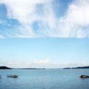 함초농장 이미지