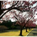 유엔조각공원 이미지