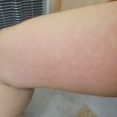 원더점핑다이어트