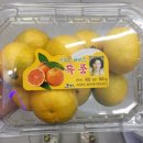 넘버원파이터