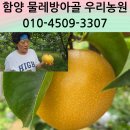 함양산삼사랑 | [우란전통수제한과 후기] 튀기지 않고 옥돌로 구운 함양옥돌자갈구이한과와 물레방아골 배