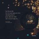 마이드