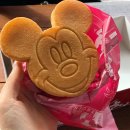 리씨네주방 | 일본 도쿄 디즈니 씨 여행 (feat. 기념품)