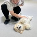 송파위례유치원 이미지