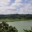 양재기 찜갈비 이미지